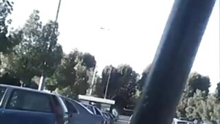 Suha rjavolaska se zjutraj zvrta globoko